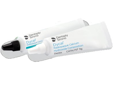 DENTSPLY DYCAL CALCIUM HYDROXIDE (24G)